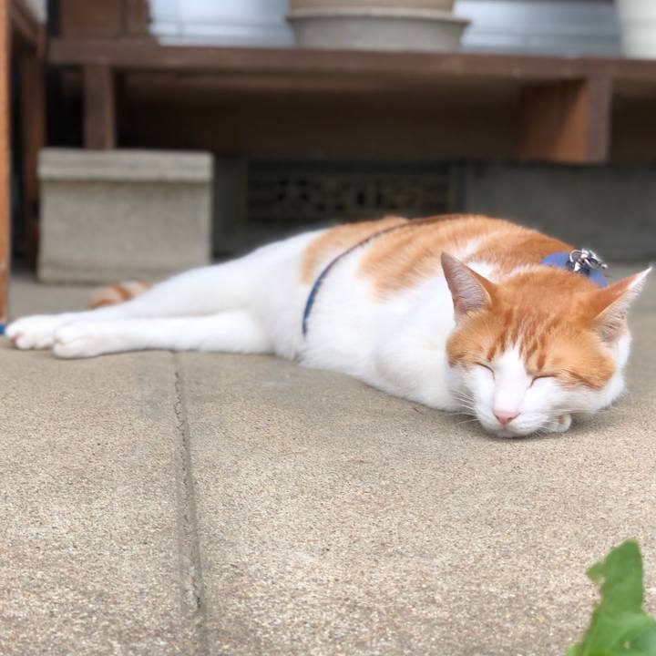 34756623 9a41 41b3 b6fb ea2c7d33672a 1538383308551