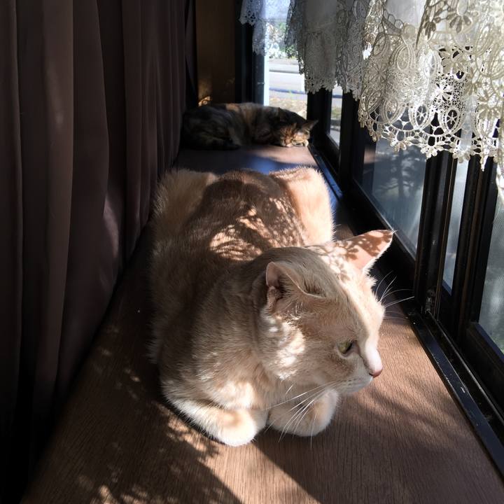 347583fb b6d7 48e8 a0ea 3f4d6ee71a3d 1537249021839