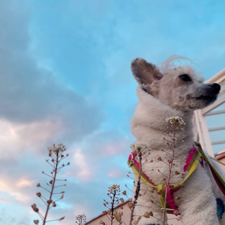 34758636 9d23 4811 99db 89aa095a10d4 1769935389203