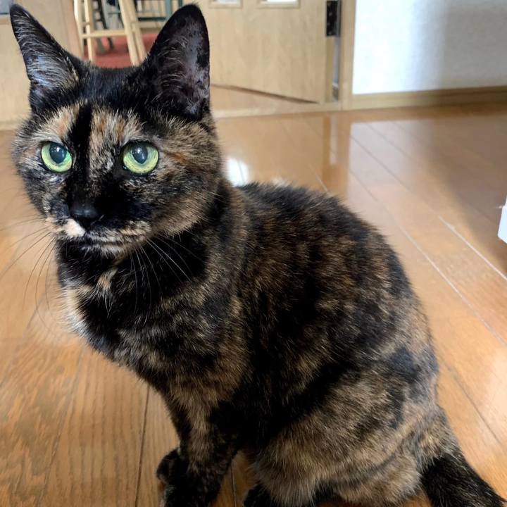 34758c7b 2745 4470 a37f cae82685c11c 1684125601543