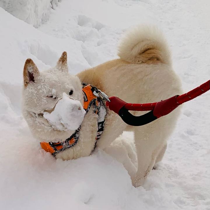 34758d51 b424 4216 8904 95bce5fa69e4 1674341559447