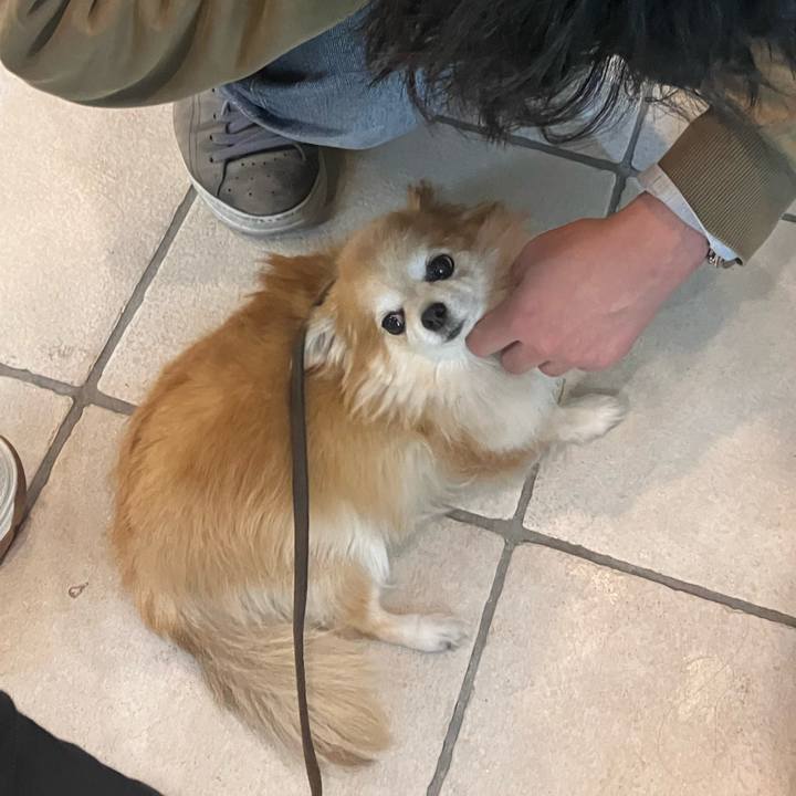 347592e0 b65a 44dc bcbb 2469434f716f 1766007774538