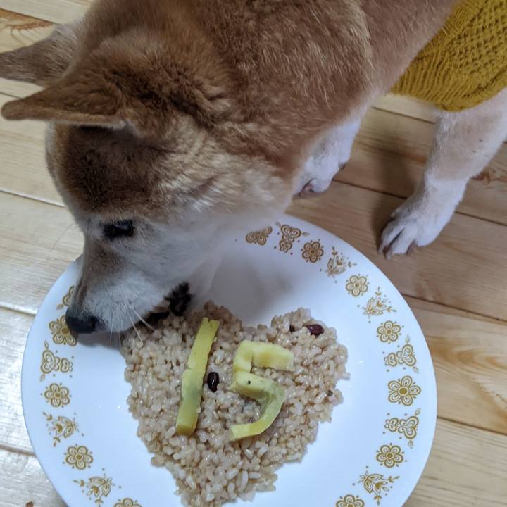 3475b2da 5d89 4ac2 8f17 3328ab2e4eb7 1768109216435