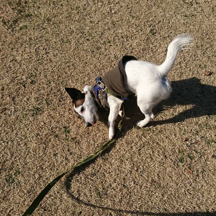 3475b458 8834 48e8 b6d7 f4661cad892b 1519884687816