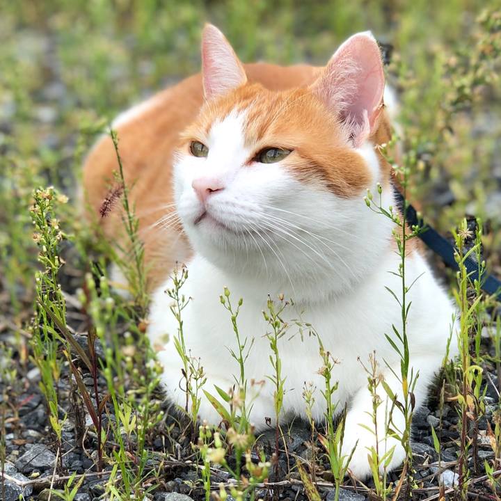 3475d4fe 811d 4a9a 9092 7e4274e9a0d7 1569231928432