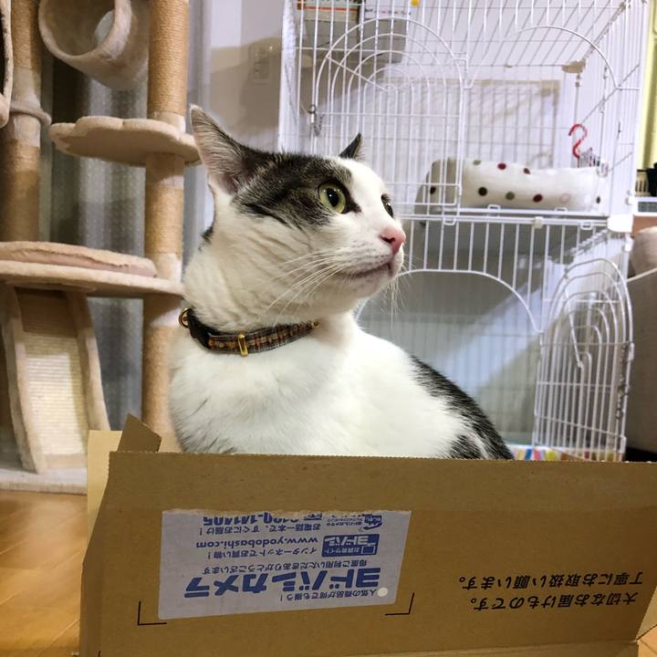 3475f3e6 513c 4199 a78b c708e11bcf10 1699358069443