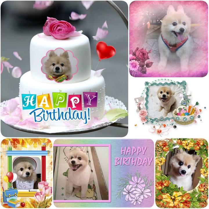 34761592 979f 4a80 ab84 dbb53b1a9cd9 1616191572635