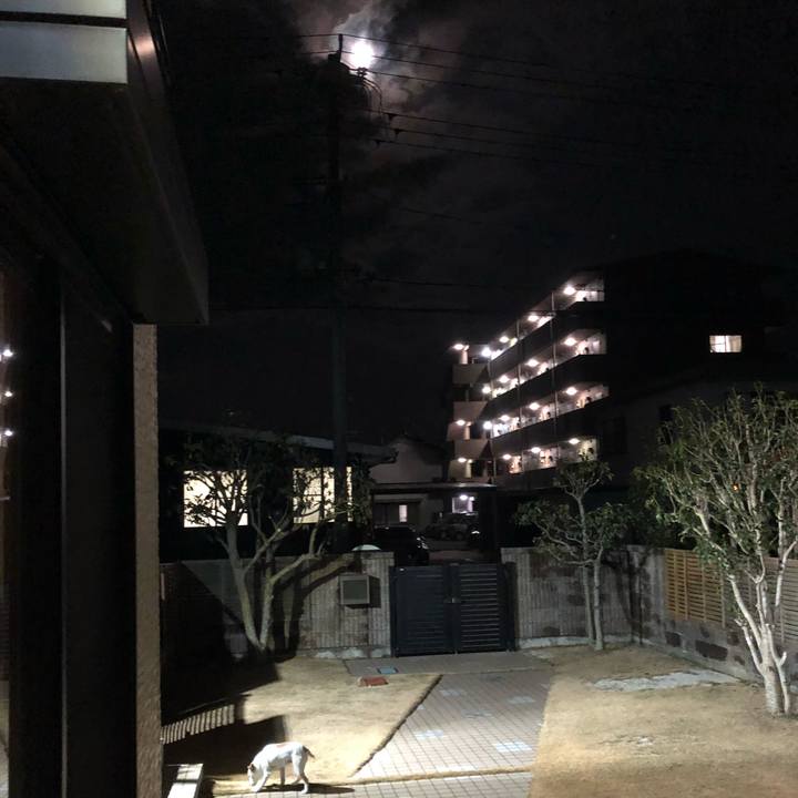 3476204d 24f4 4783 85d3 a29198558567 1517576023846