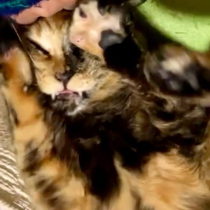 34762784 d4eb 40b3 bb58 46f81a1ec80d 1732700637283