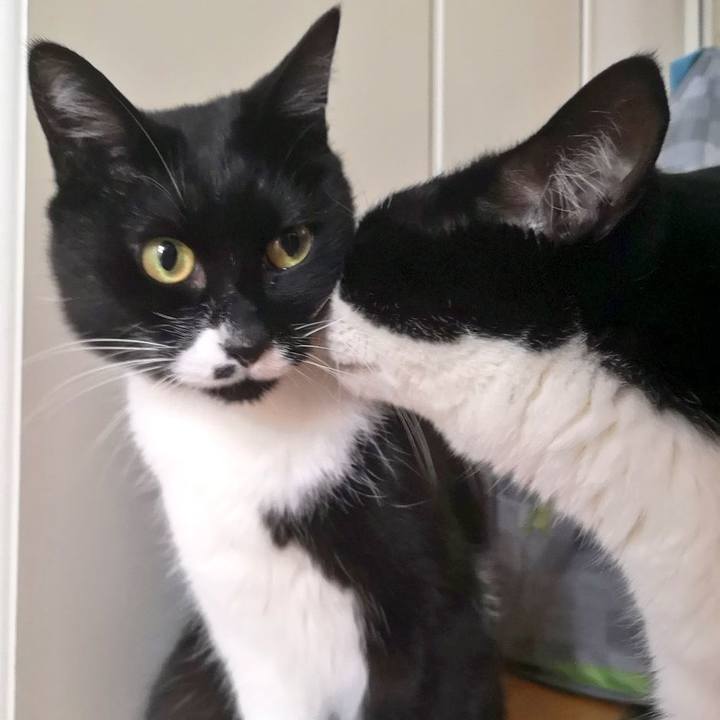 347632d9 10a9 4038 af03 6535d08a466e 1590813446288