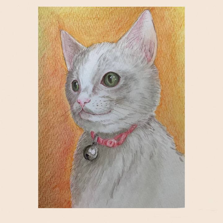 34765ba4 f613 4e8b 908a a6fbcc95c393 1676433471300