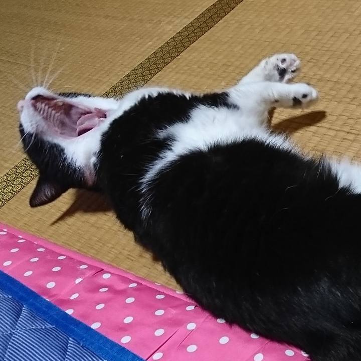 34766660 0d93 4e15 bb7c 05859db85666 1599838244902