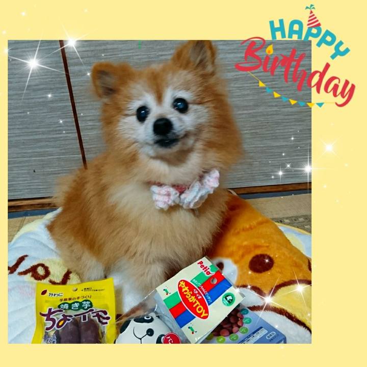 34767ab0 6ccf 459f 93ef 3a8d16474d77 1574116697603