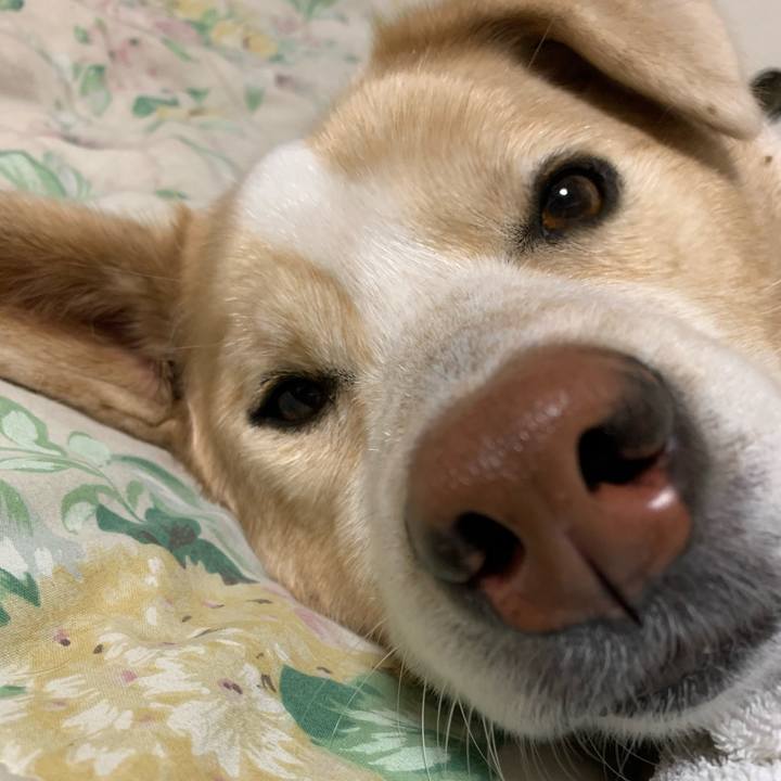 3476c061 7f10 4934 87f5 58af54abc562 1580558792314