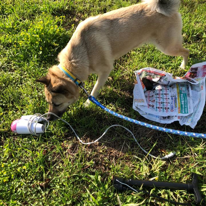 3476e4b3 2e97 430d adbb dfed2bebbd81 1589197208621