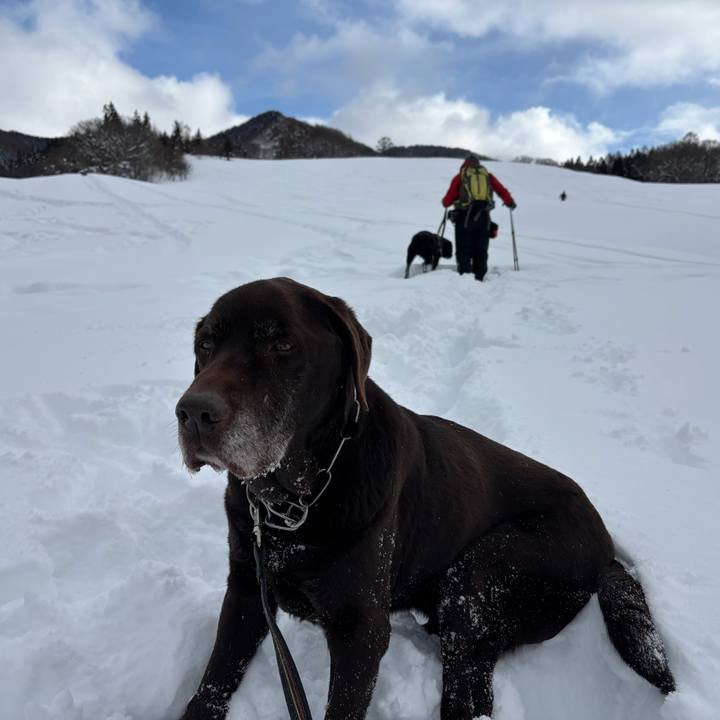 3476f453 0138 4720 bb0c 479525b4d4b4 1769850016670