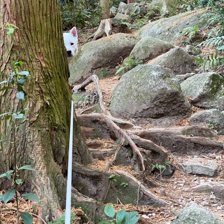 34773773 61f6 4c13 8e1b 21b555cd6ce3 1607219624592