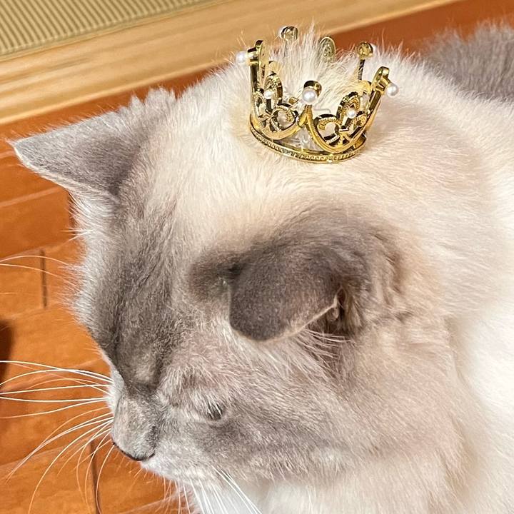 34775df0 539f 413f 8c36 ae7c80742389 1667465284429