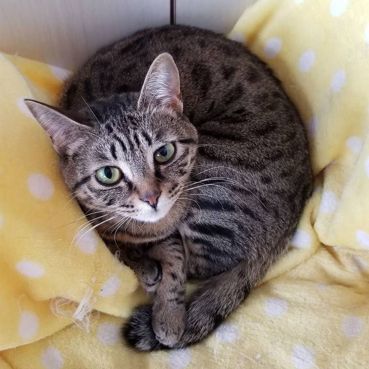 34777d8d 4c15 4051 b2a1 2f796b9feef0 1578450133421