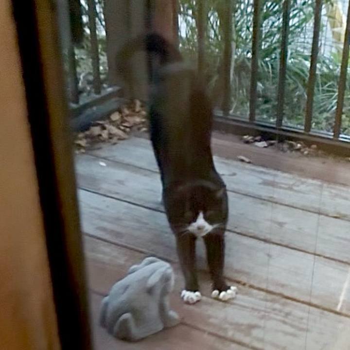 3477af37 9ebd 49ce b87b 8d783ae7eff8 1762942397415