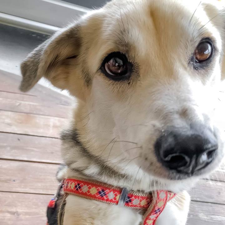 3477bfe9 3d99 45b0 8720 f2a939fbfbc5 1521854782700