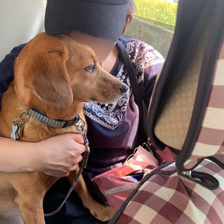 3477d8f2 7884 432f b484 6859004e0757 1557555514904