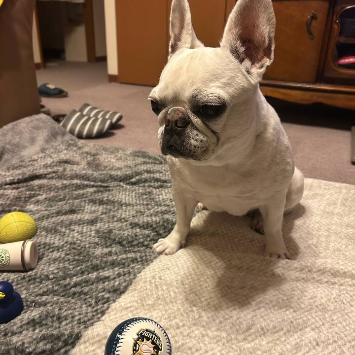 3477eac5 ce32 435e 8660 10046b72da2e 1736687540779