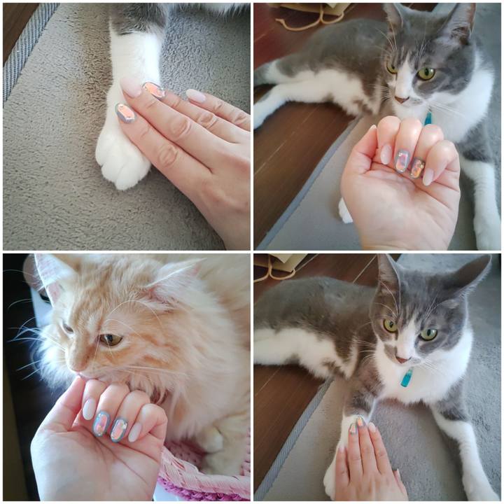 3477ed04 63c8 467f a12d 918fc28fb5dc 1660016858710