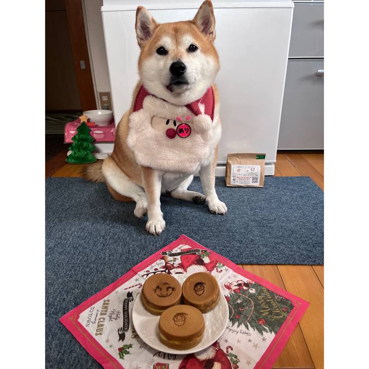 3477eee2 bcd3 4687 b2aa 89fc9062d85a 1703542245475