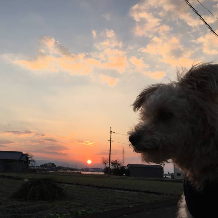 34780ea4 ee3d 4d14 9c62 1cdf5a14e4c0 1542701626196