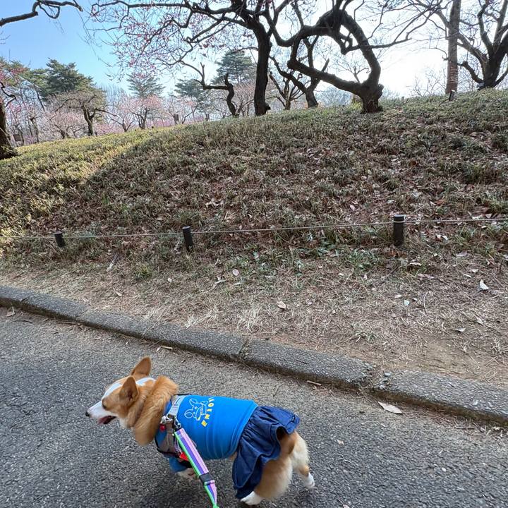 3478810a d13e 415b a446 ce55b5dd7a45 1771808329252