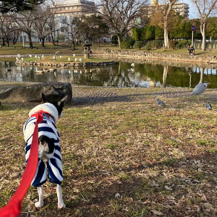 34788797 0469 449e a2aa e01625f8eba3 1610848467154