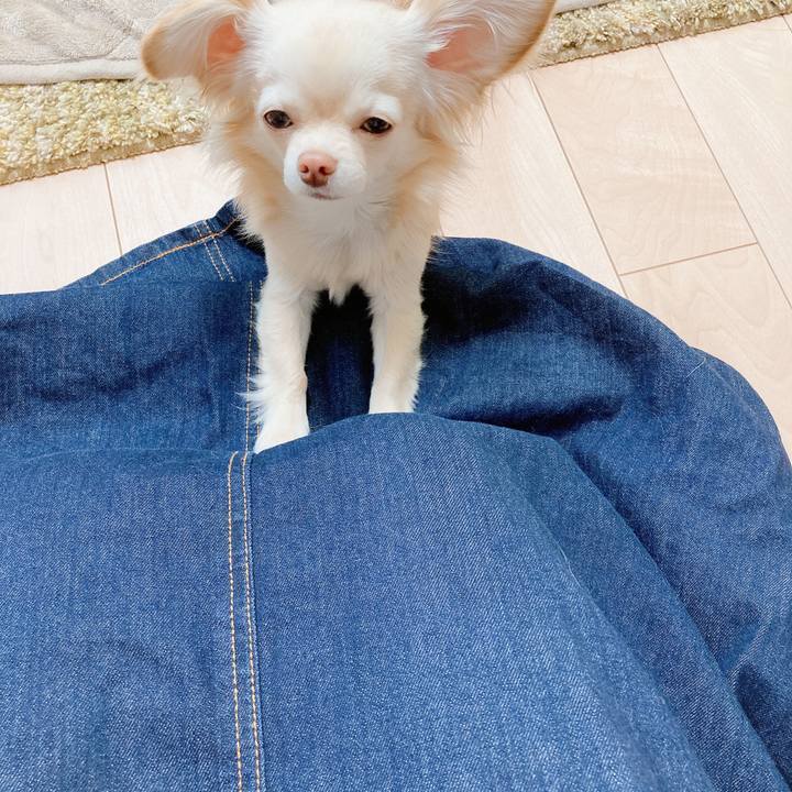 34789a07 3049 4019 be78 a91ab38dc9cf 1616912003534