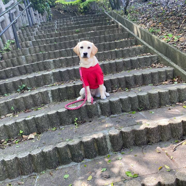 3478e08f 7a75 4b31 b62e 39eb8c516655 1619055843964