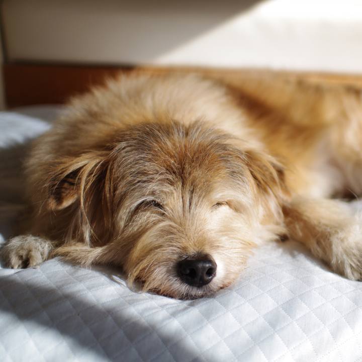 3478f55c fb85 4765 adc3 15d828224fb0 1639628246781