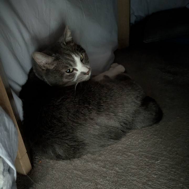 3478f5e5 ba10 4216 a039 968008095336 1774835490646