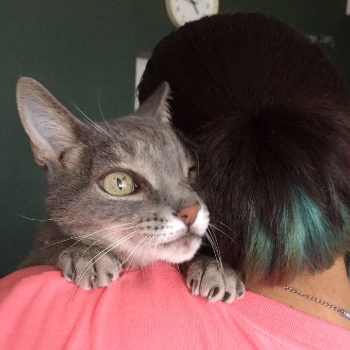 34792239 f097 4e30 801a 84a2ecac070d 1526673847867