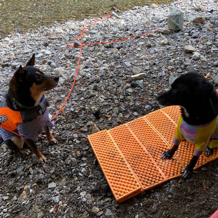 34795960 1fe8 4263 b8d4 10c3fbce97f7 1630244630074