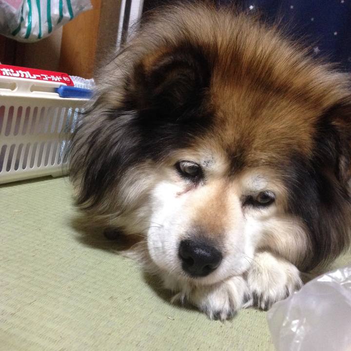 34798d25 4e66 4ad0 a131 02a709bdcd22 1594598317961