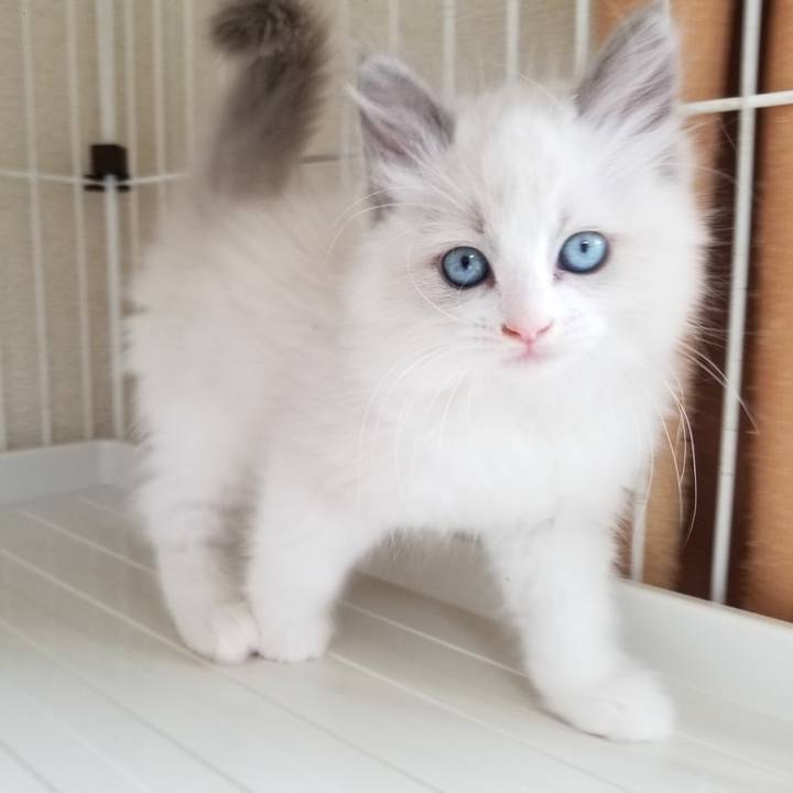 3479997a 9478 4c20 9191 ba10f9bf47a3 1633426107531