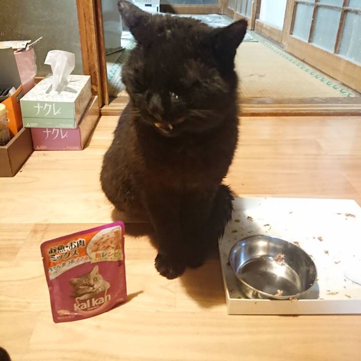 347a0c97 a698 4702 97ae cee877deae83 1621342940506