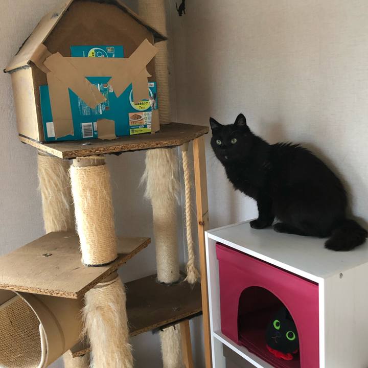 347a25c7 1e79 49af a597 21eec4505454 1599341448160