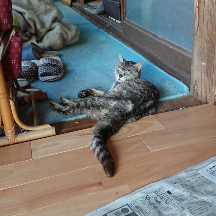 347a28e8 4856 4fa8 a40e 790b1c453d10 1598575965216