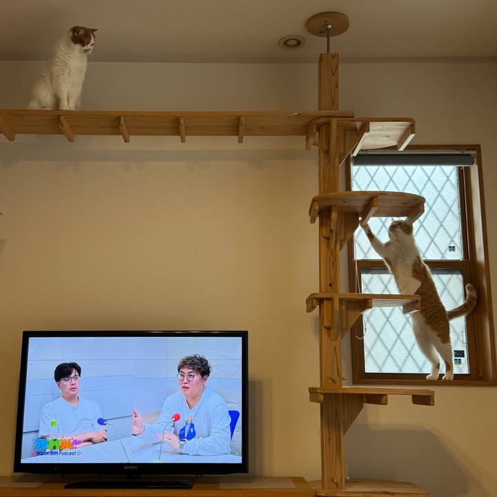 347aae20 2802 44d3 8bc5 5b134e88ba3f 1770543950310