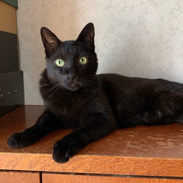 347ac4c8 e748 4b9d a2c5 d88645653837 1591662677997