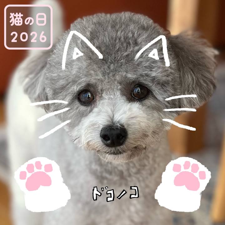 347ac6c1 e056 4547 81c6 3b20baf9294a 1771754924182