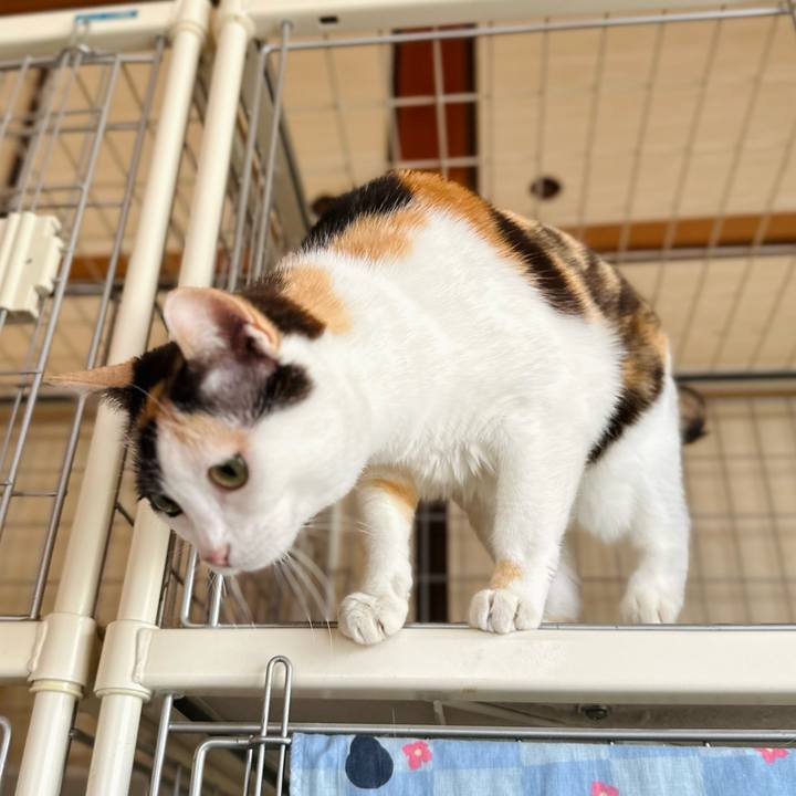 347acdcf 0422 44d7 8626 f49b13b75eaa 1686278232742