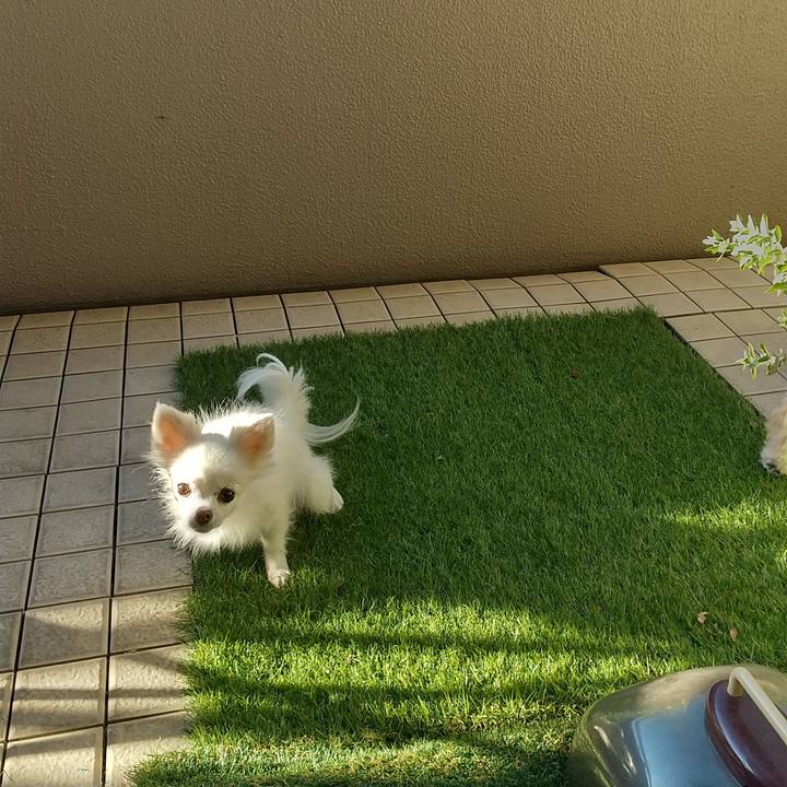 347acea6 fc64 4c21 972a 4d7b238d1cfe 1633212258630