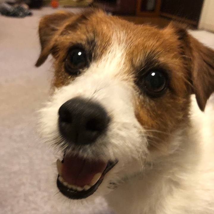 347af163 1715 42e5 ba83 cb2954012a8a 1571482738078