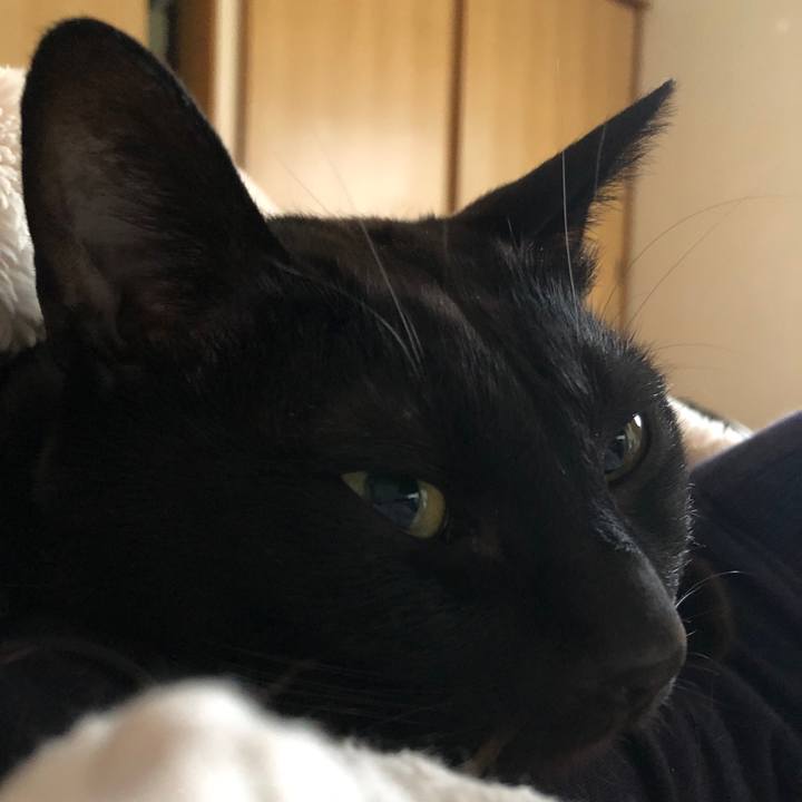 347b1658 9a4a 4f5f bb5b b00e44a9172c 1716583944702